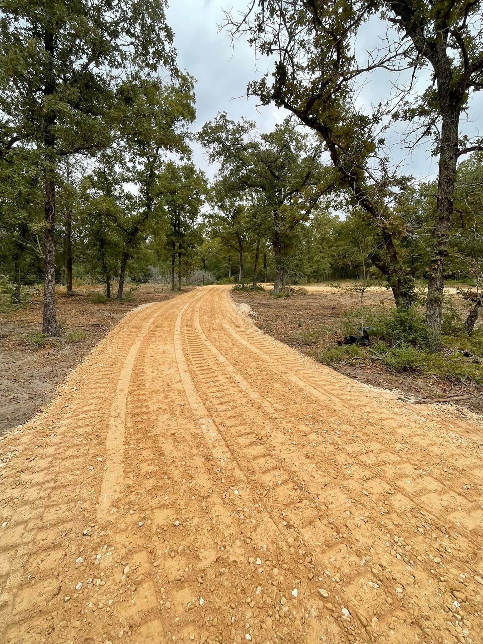 Dirt road winds through a grove of trees on a cloudy day.