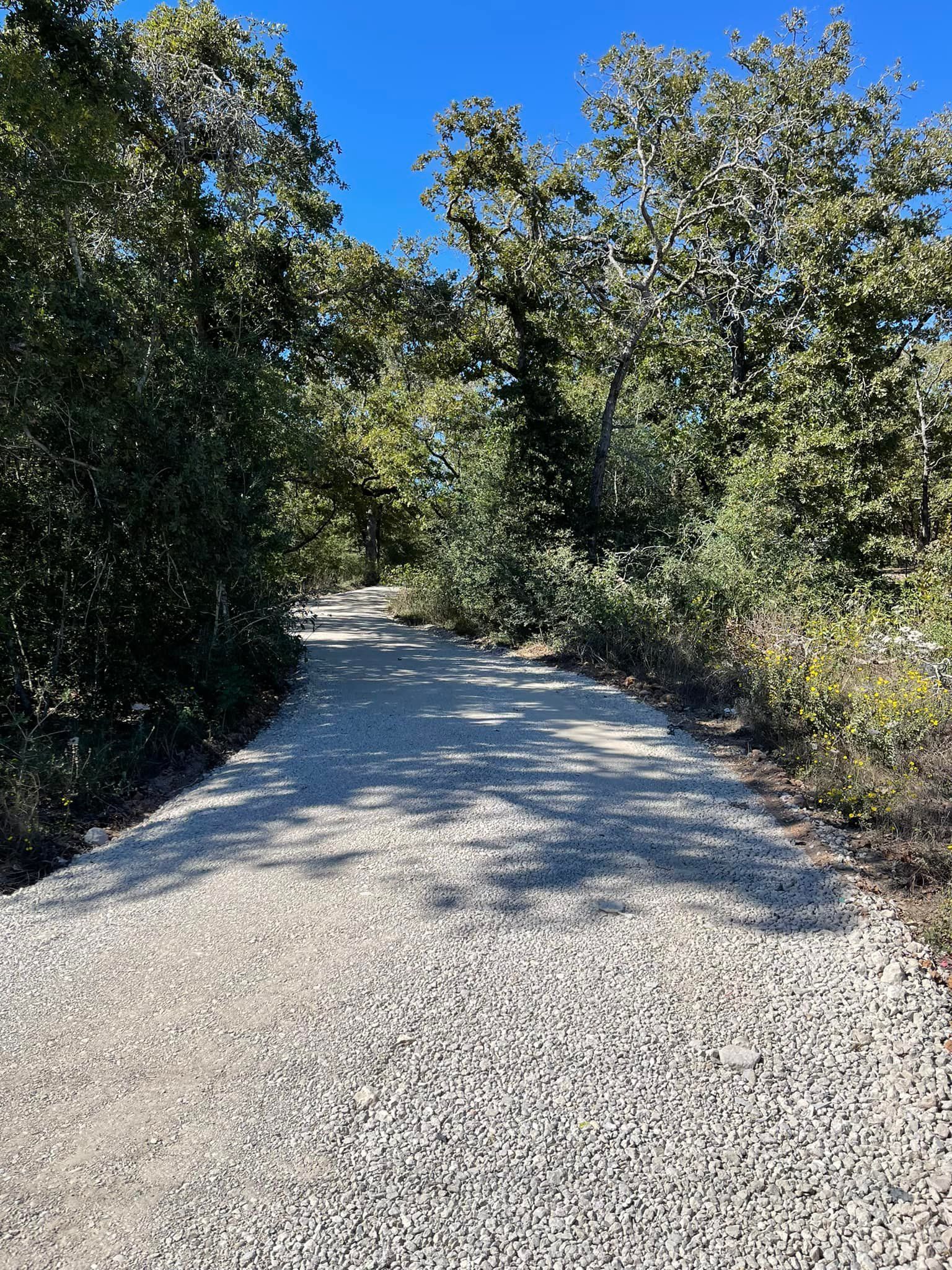 Gravel path winds through a forest under a clear, blue sky.