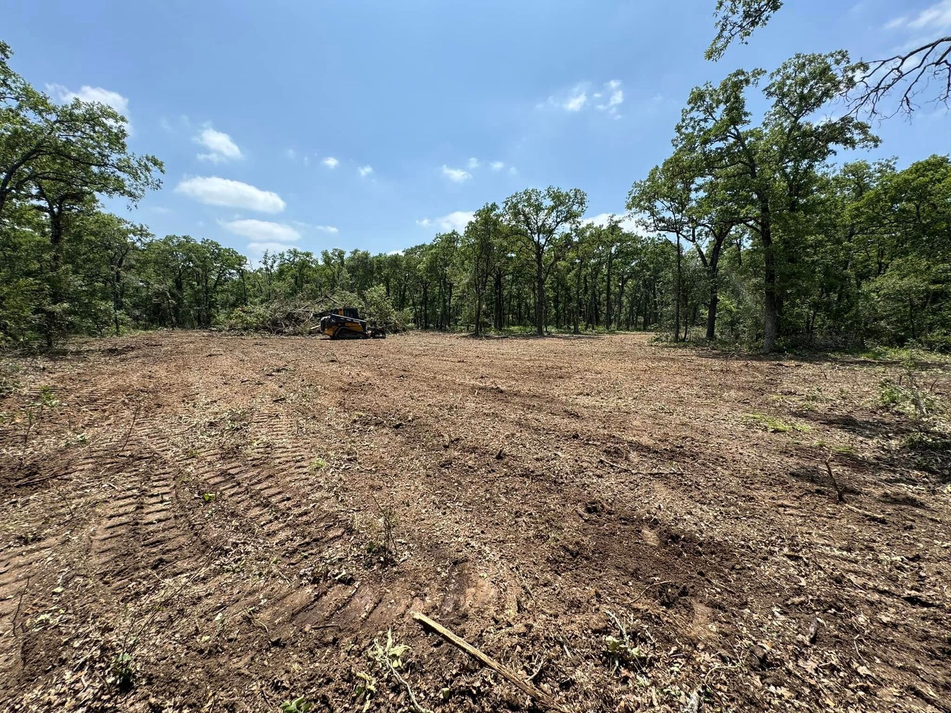 Clearing in a forest, dirt and wood chips on the ground, trees in background, bright blue sky.