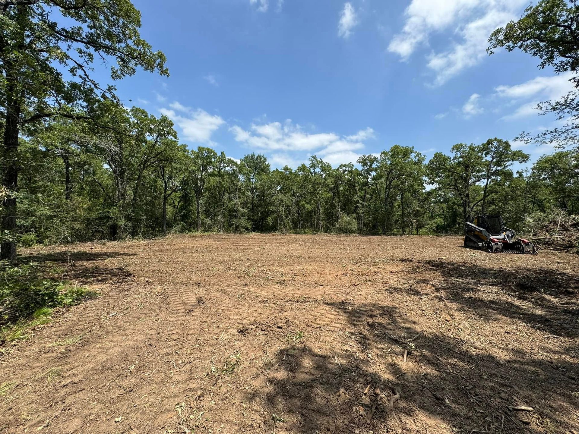 Cleared land in a forest setting, under a bright blue sky.