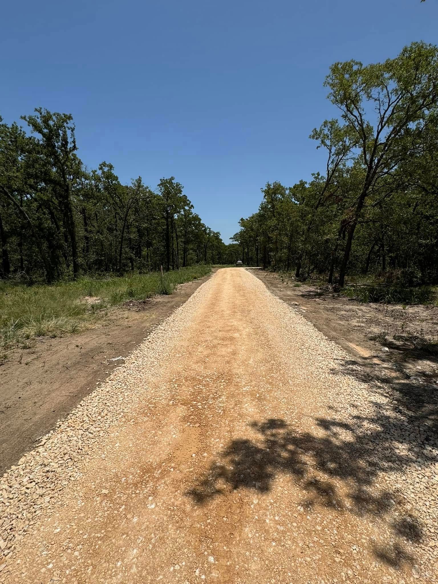 Gravel path through a forest, trees line the sides. Blue sky overhead.