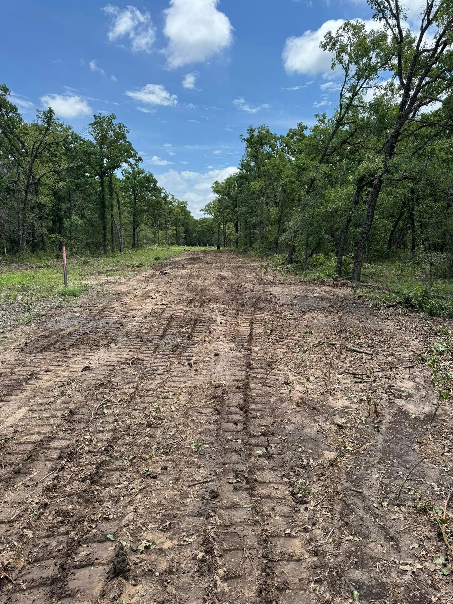 Muddy dirt road through a forest under a blue sky with clouds.