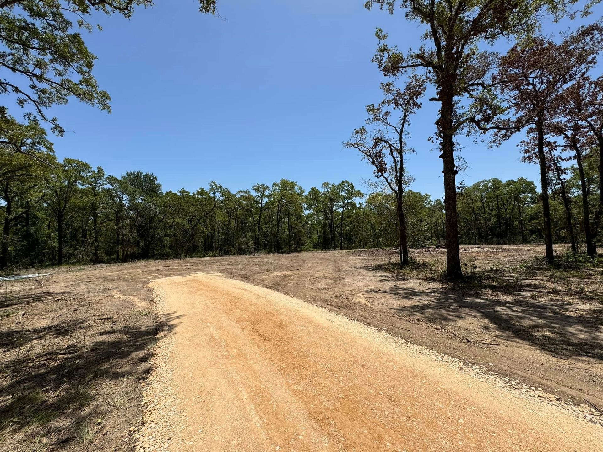 Dirt road leading into a clearing, surrounded by trees, under a blue sky.