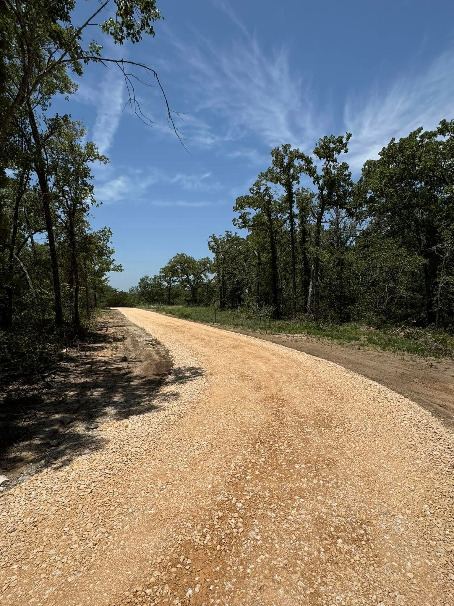 Gravel path through a sunny forest, blue sky with feathery clouds.