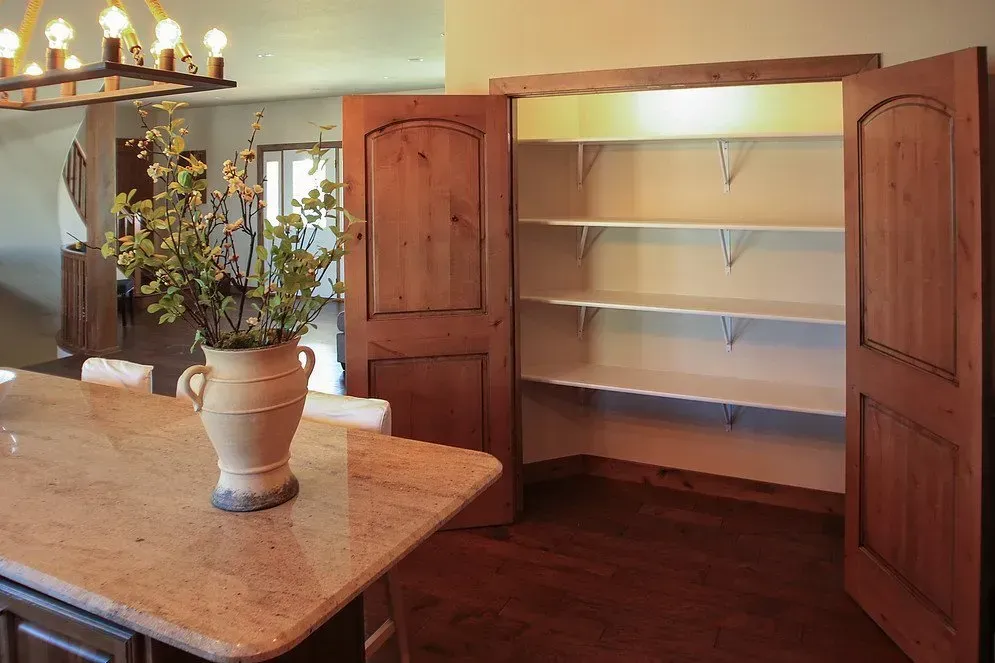 A kitchen with a potted plant on the counter and shelves