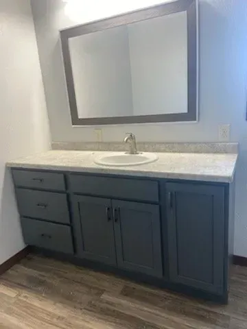 A bathroom with a sink , mirror and cabinets.