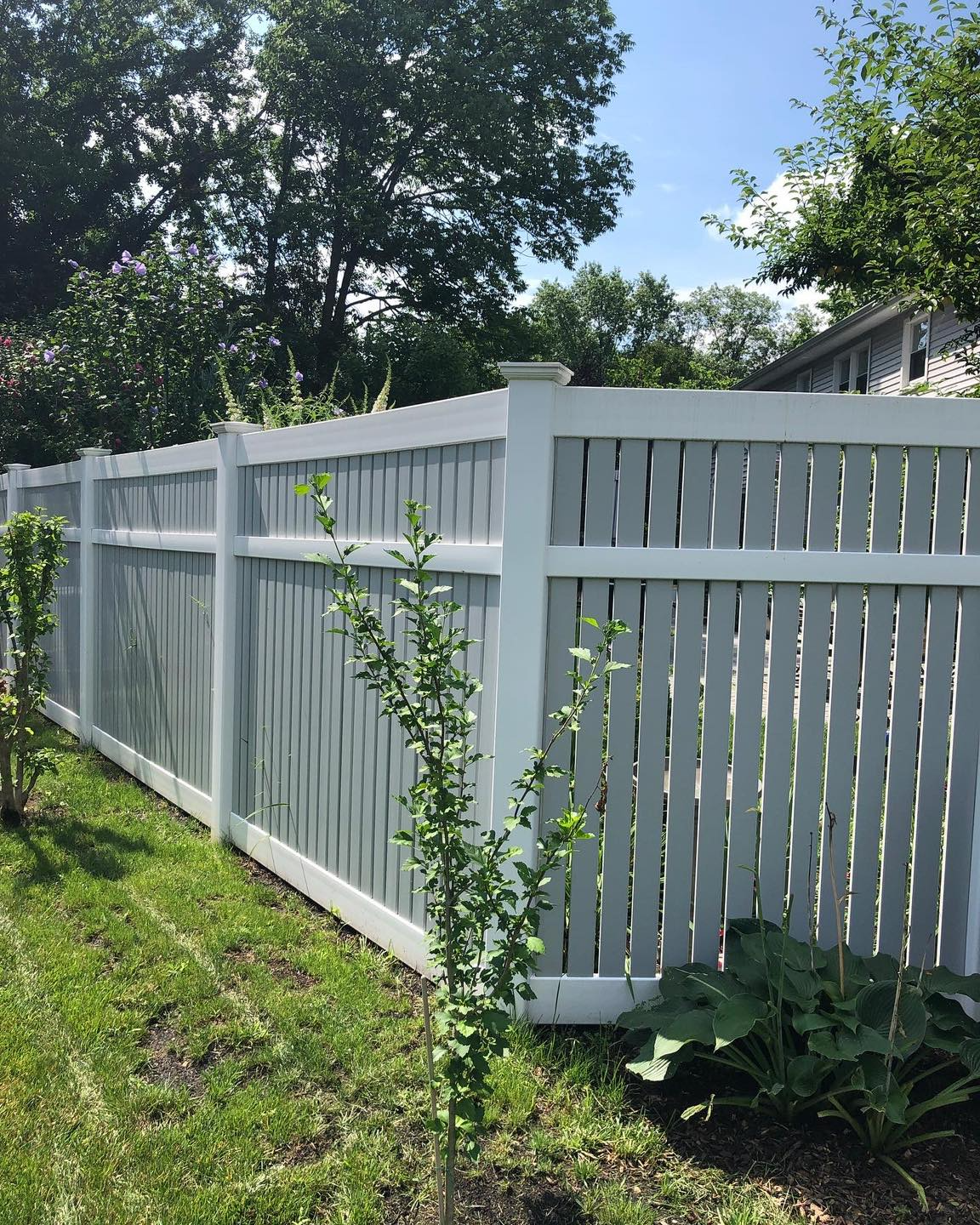 White wooden privacy fence in a grassy yard, trees in background, sunny day.