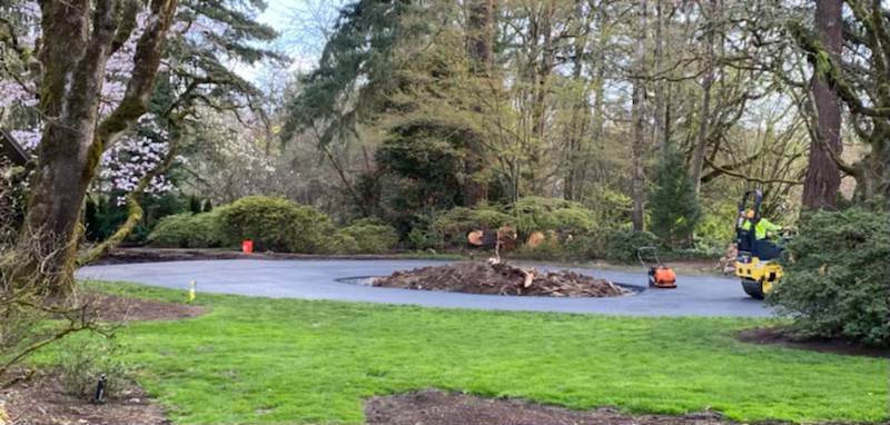 A man is riding a roller in a park with trees in the background.