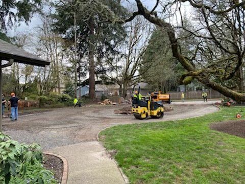 A yellow roller is driving down a road in a park.