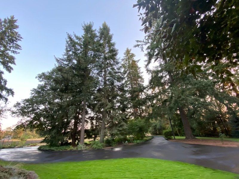 Seal coating driveway