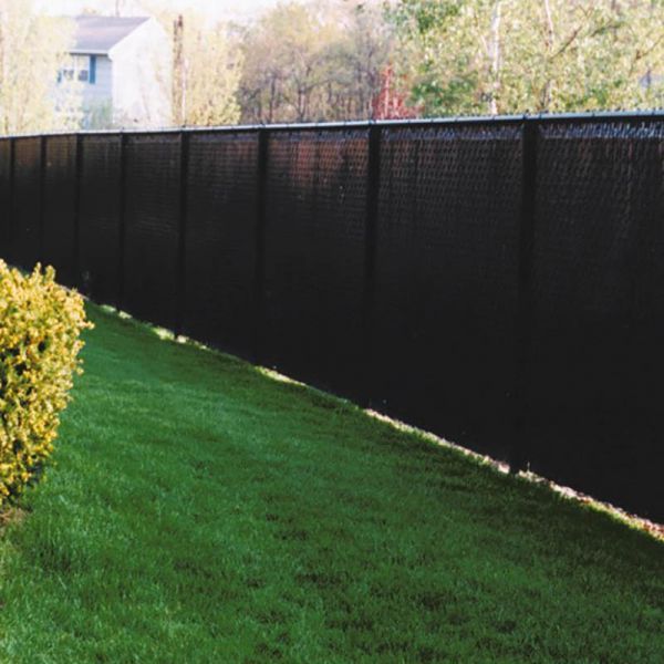 A black fence surrounds a lush green yard