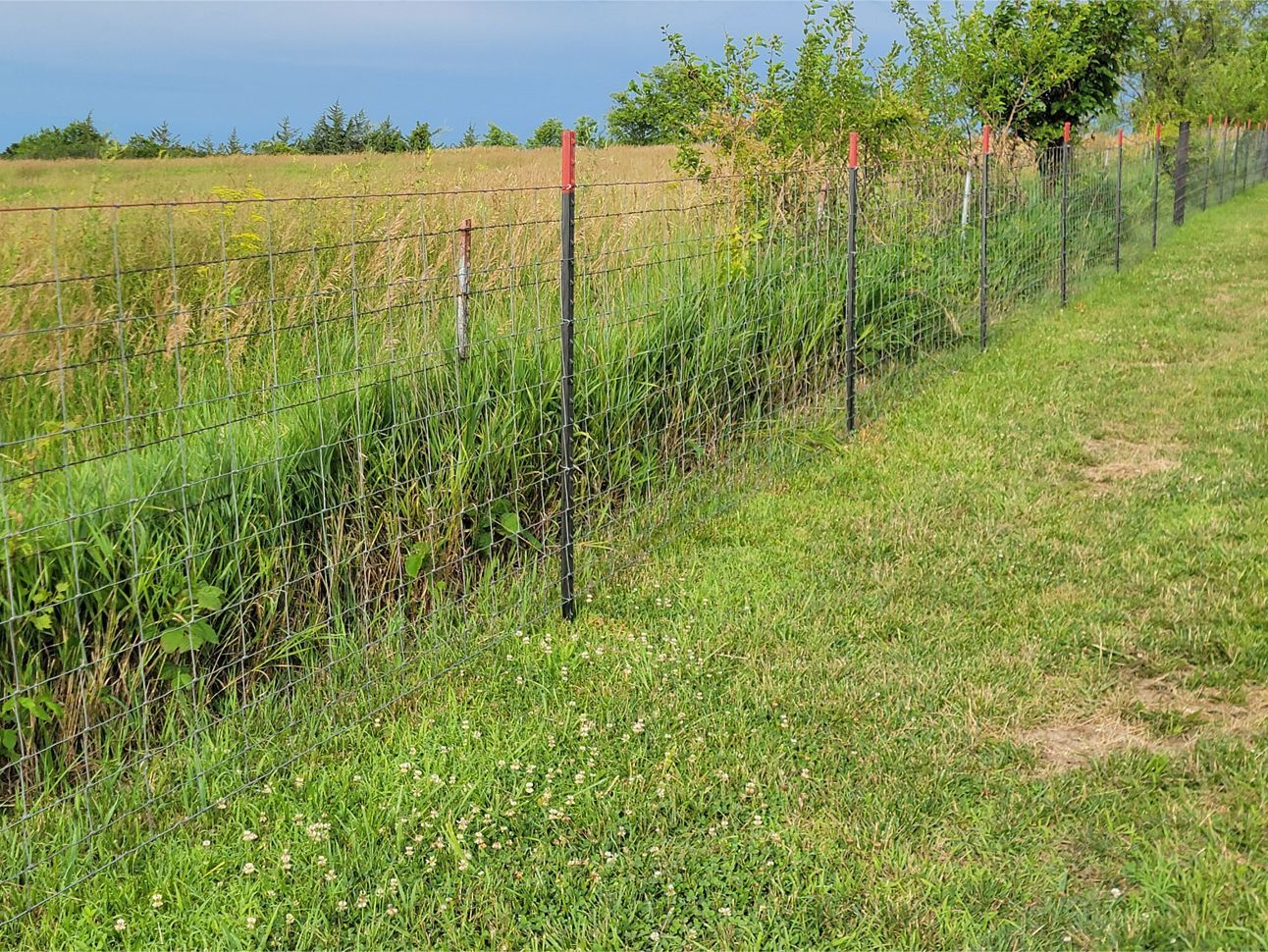 A grassy field with a fence surrounding it