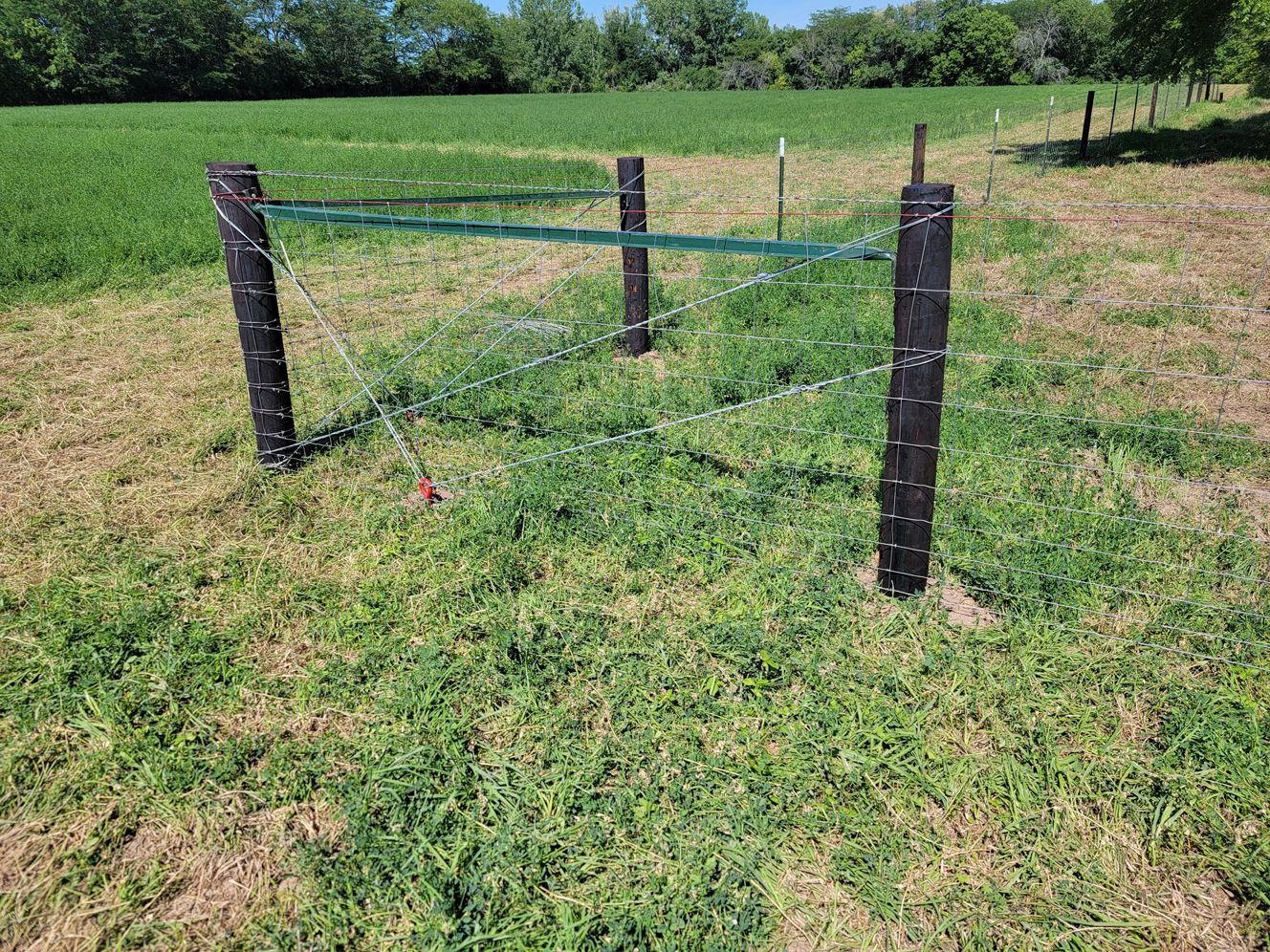 A barbed wire fence is in the middle of a grassy field.
