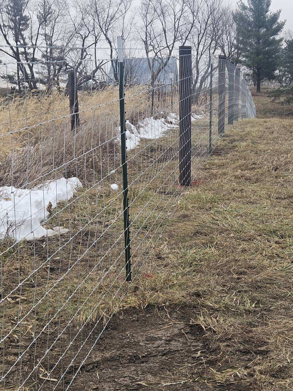 Wire fence along a grassy field with snow patches, set against bare trees and a cloudy sky. 