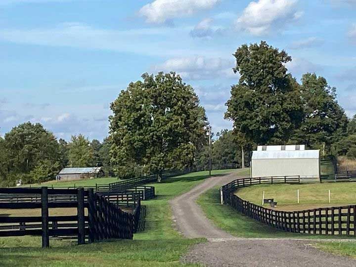A dirt road going through a grassy field with a fence.