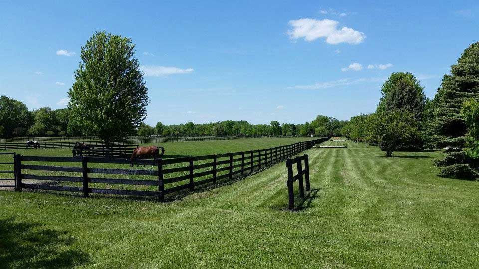 A horse is standing in a field behind a fence.