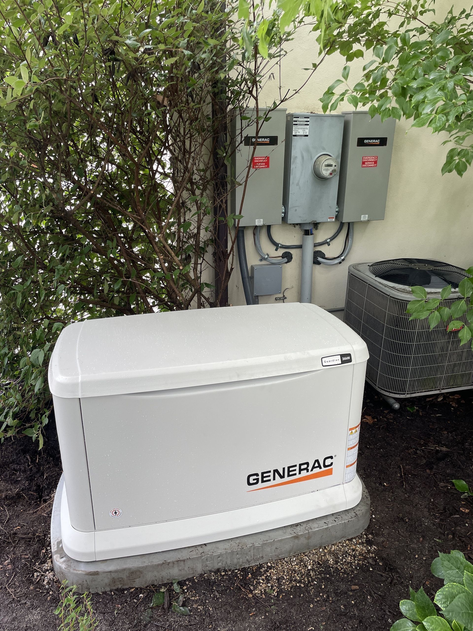 White Generac home generator beside electrical panels and shrubbery outdoors.