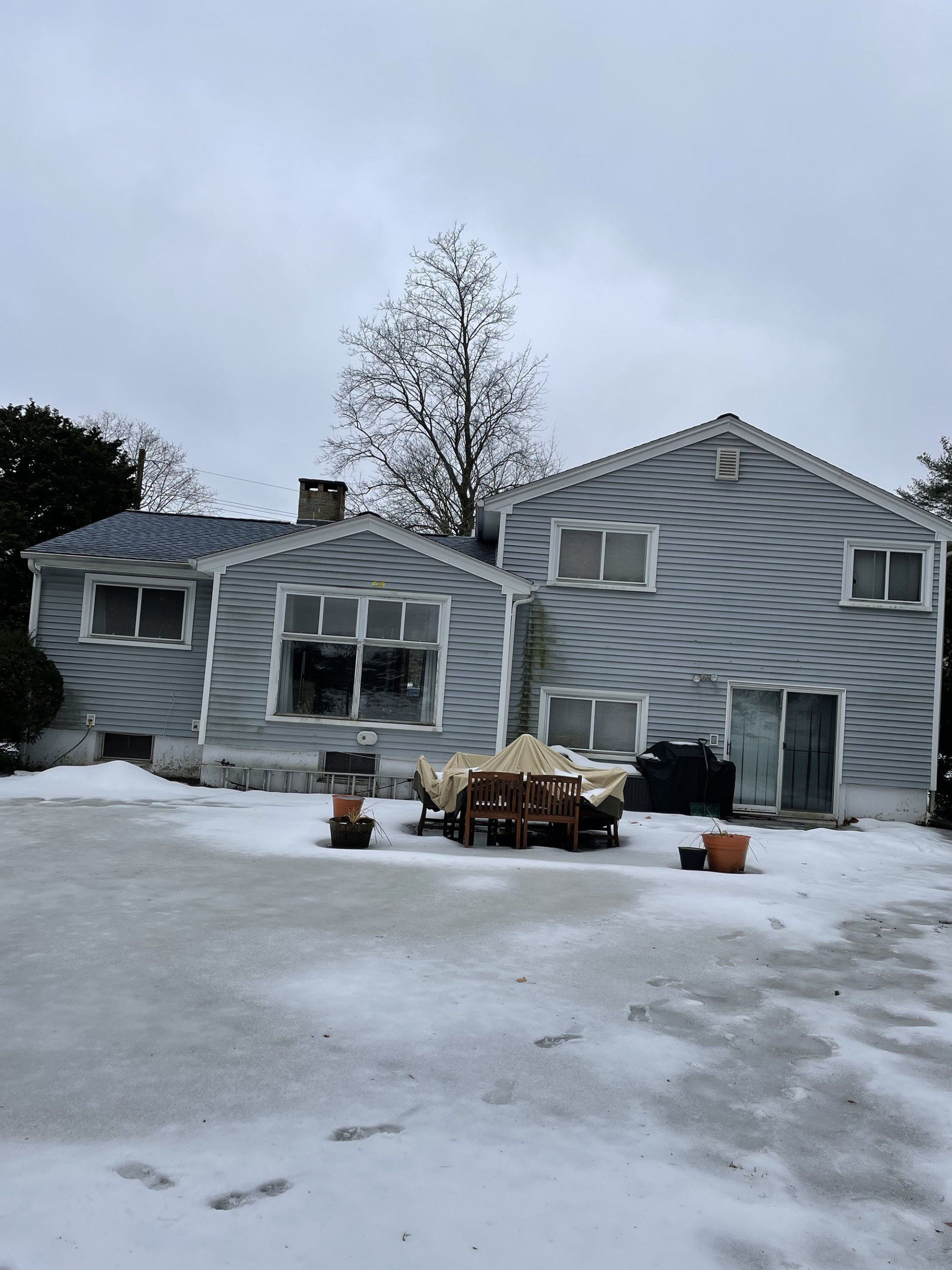garden with house