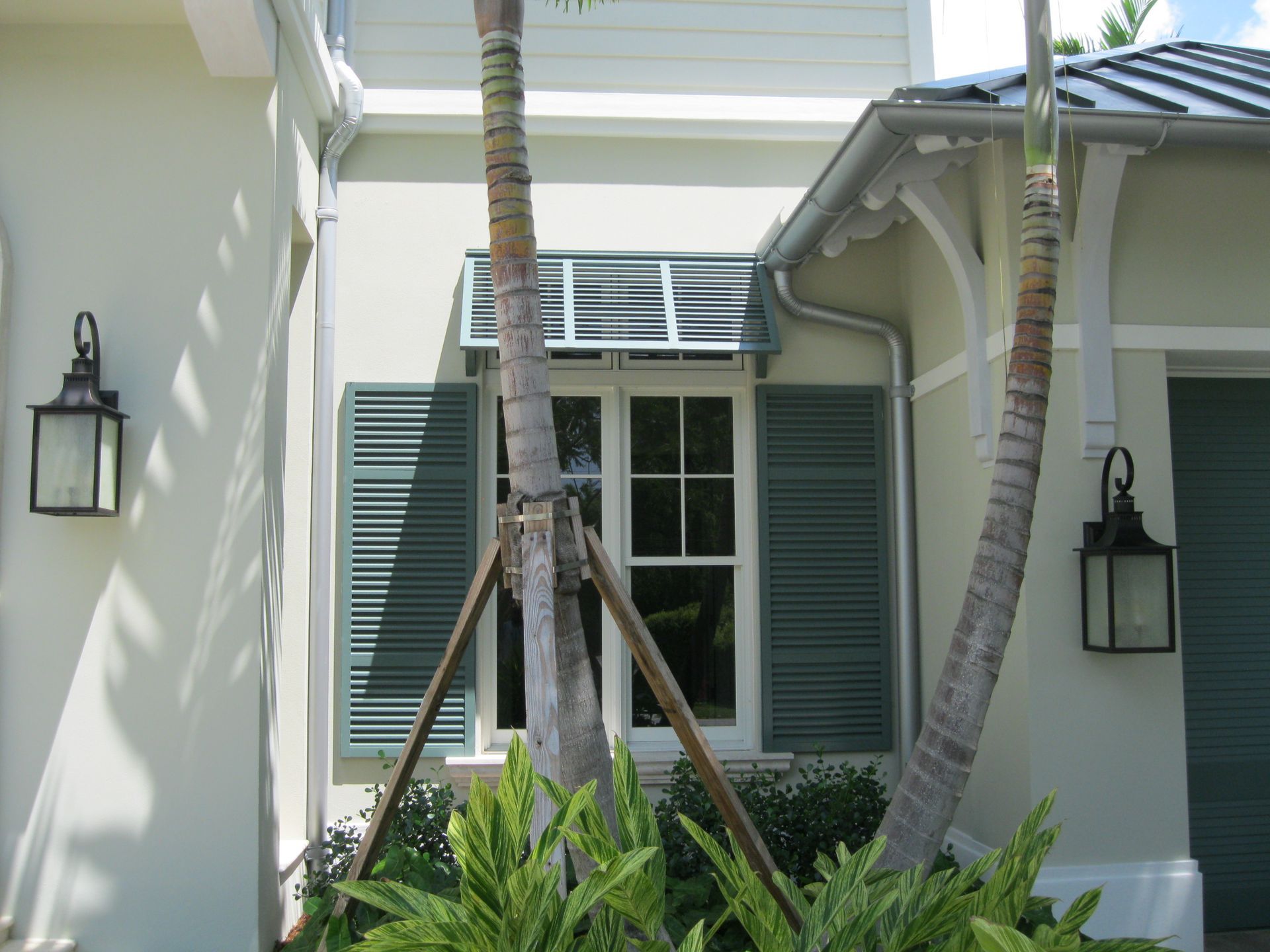 A white house with green shutters and a palm tree in front of it