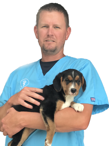 About Newton Veterinary Clinic | Newton, IL Veterinarians