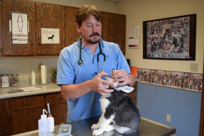 Newton Veterinary Clinic | Veterinarians | Newton, IL | Robinson, IL