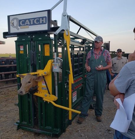 Learn More About Farm Services Herd health