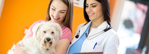 Newton Veterinary Clinic FAQs & Patient Forms | Newton, IL