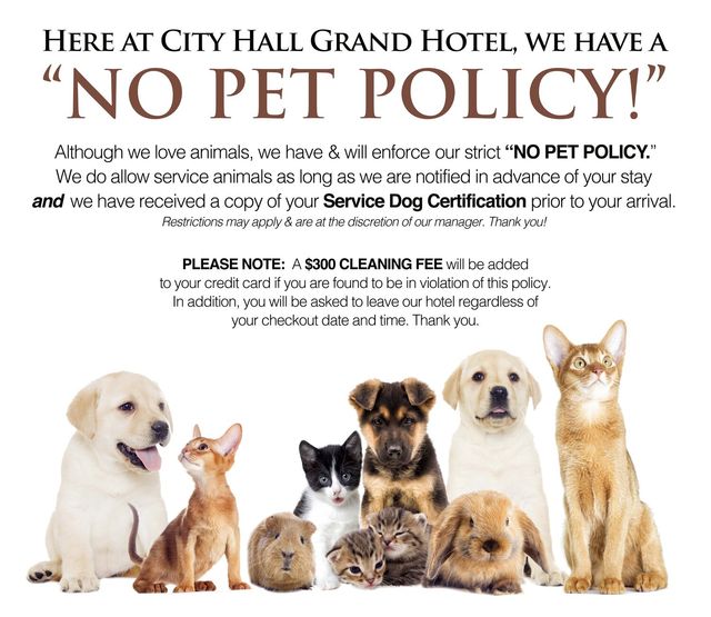 Are Hotels Allowed To Ask For Service Dog Papers