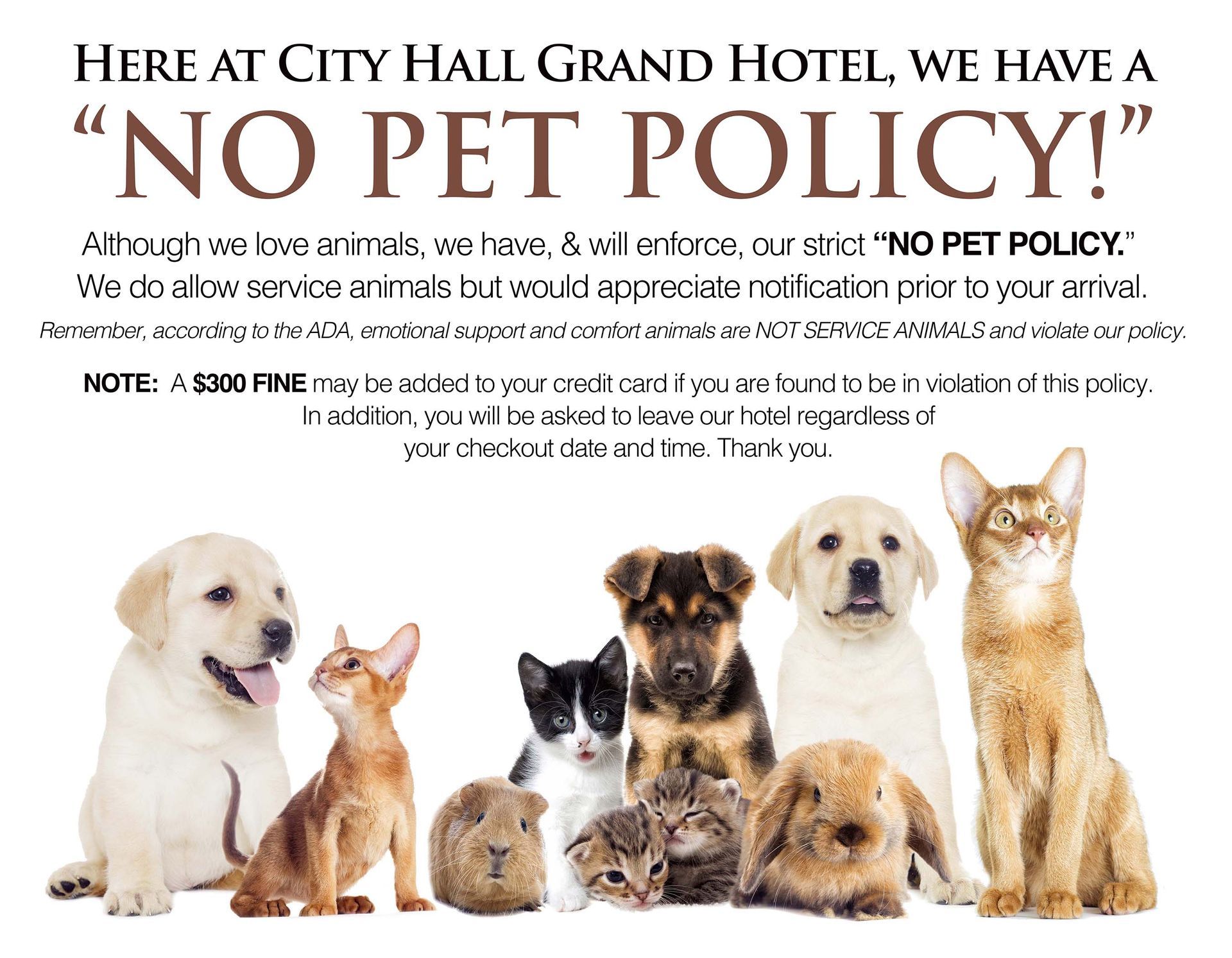 No pet policy
