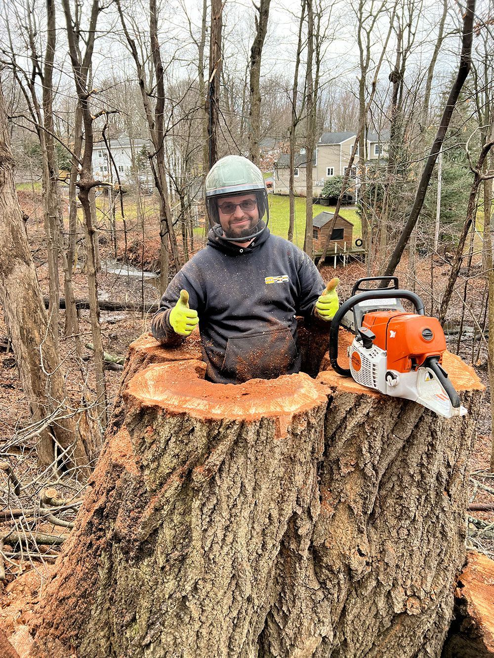 A man is sitting on a tree stump with a chainsaw.