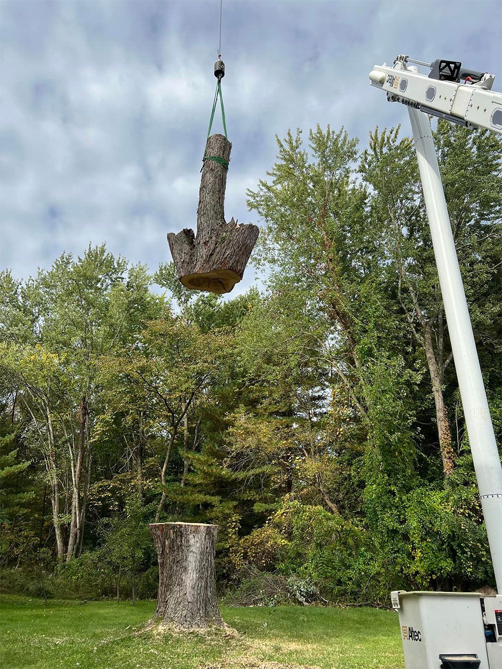 A large tree stump is being lifted by a crane.