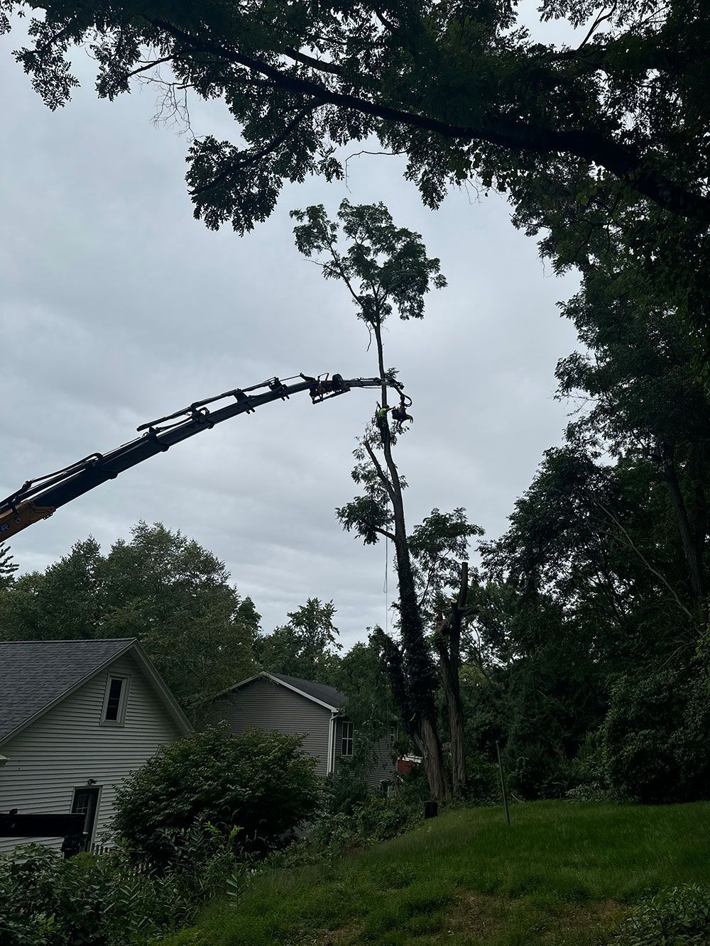 A crane is cutting a tree in front of a house