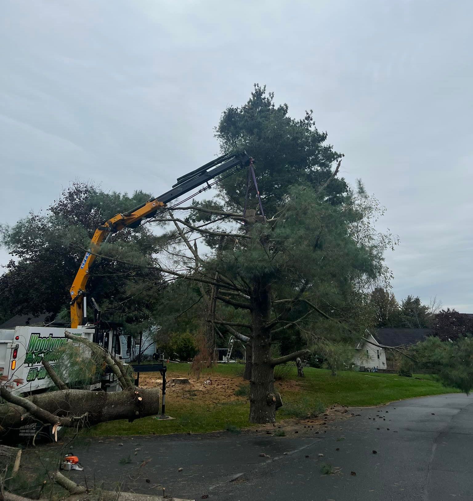 A crane is cutting down a tree in a yard.