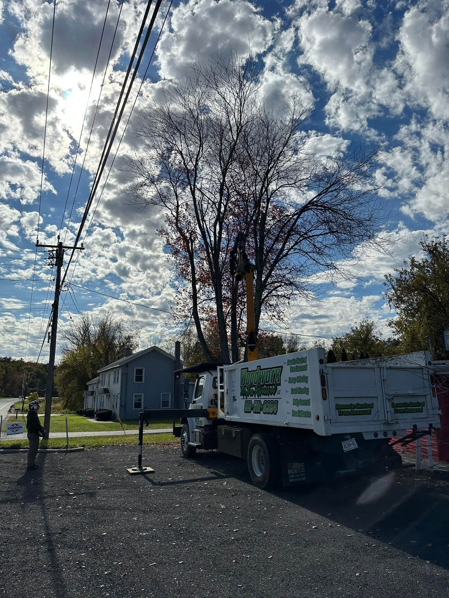 A dump truck is parked on the side of the road next to a tree.