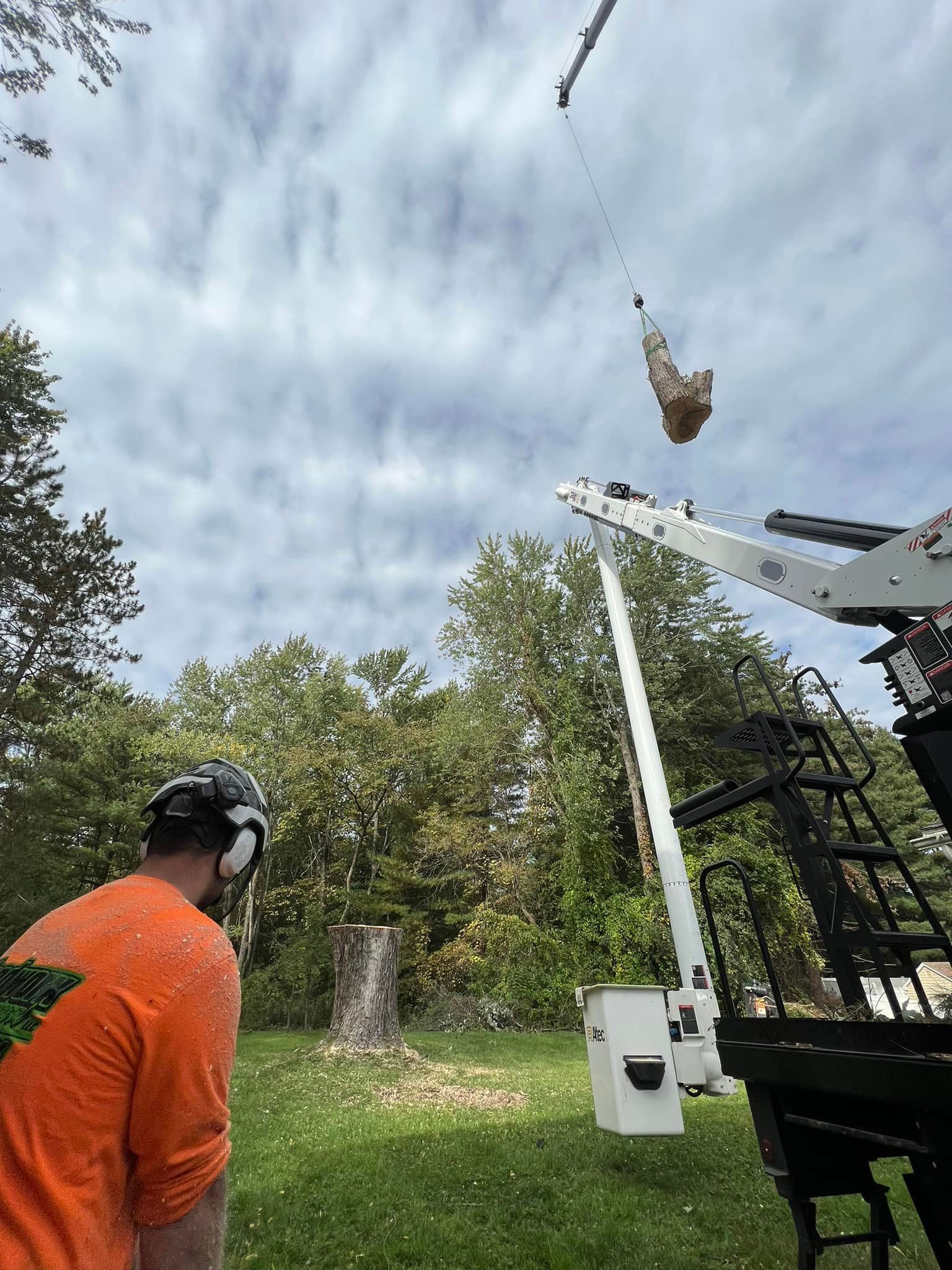 A man is standing in front of a tree stump being lifted by a crane.