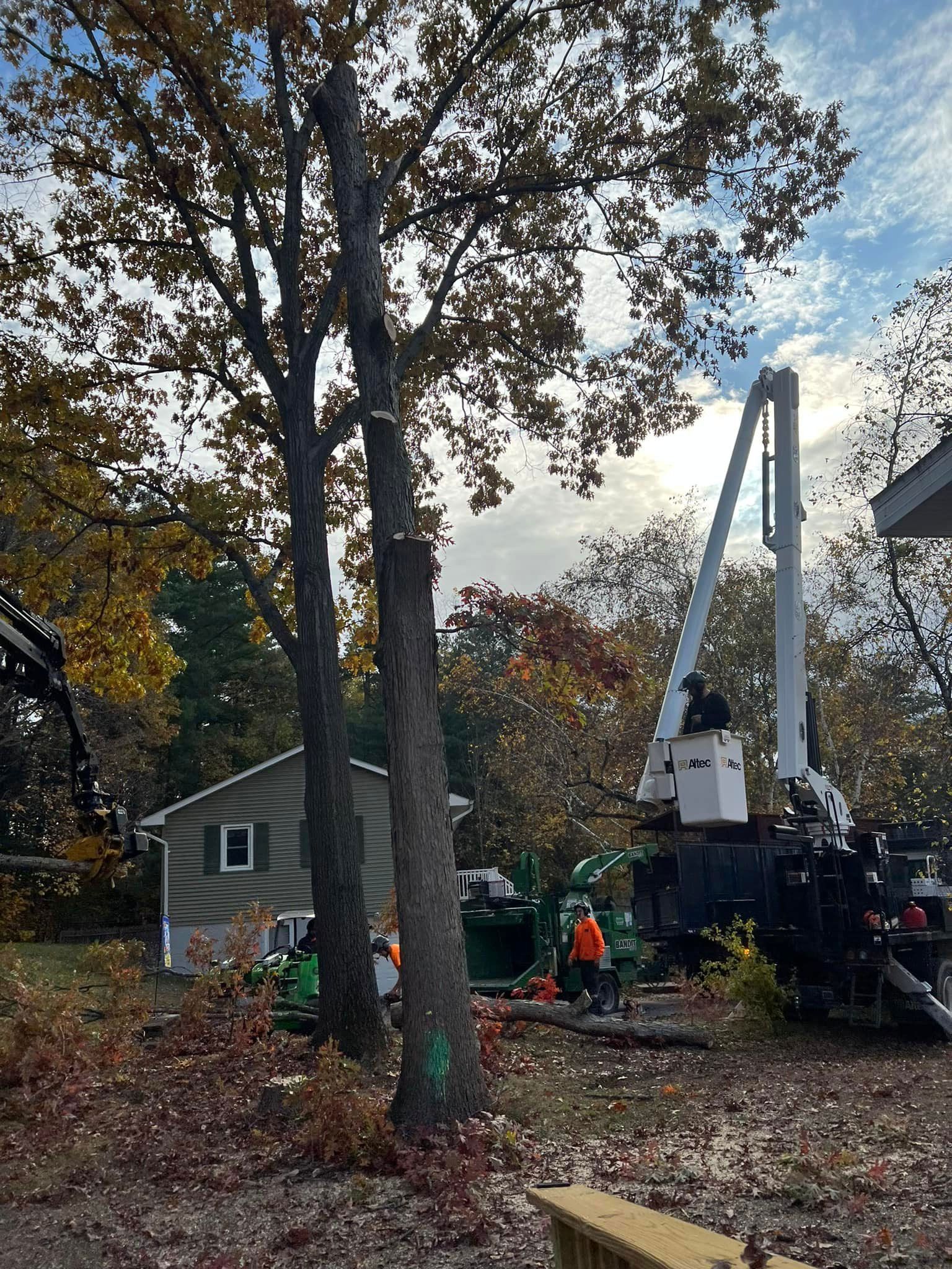 A crane is cutting down a tree in front of a house.