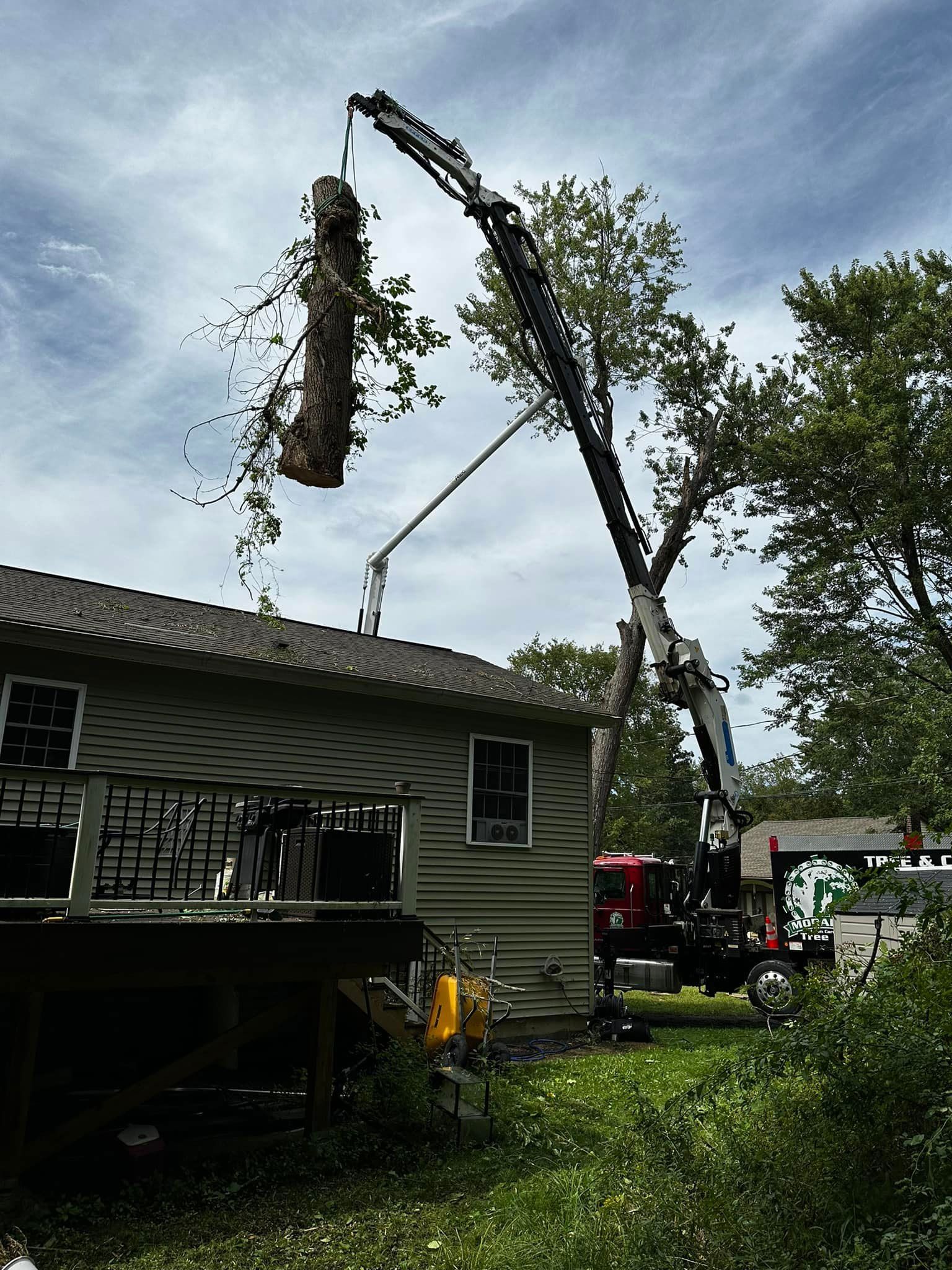 A crane is lifting a tree from the roof of a house
