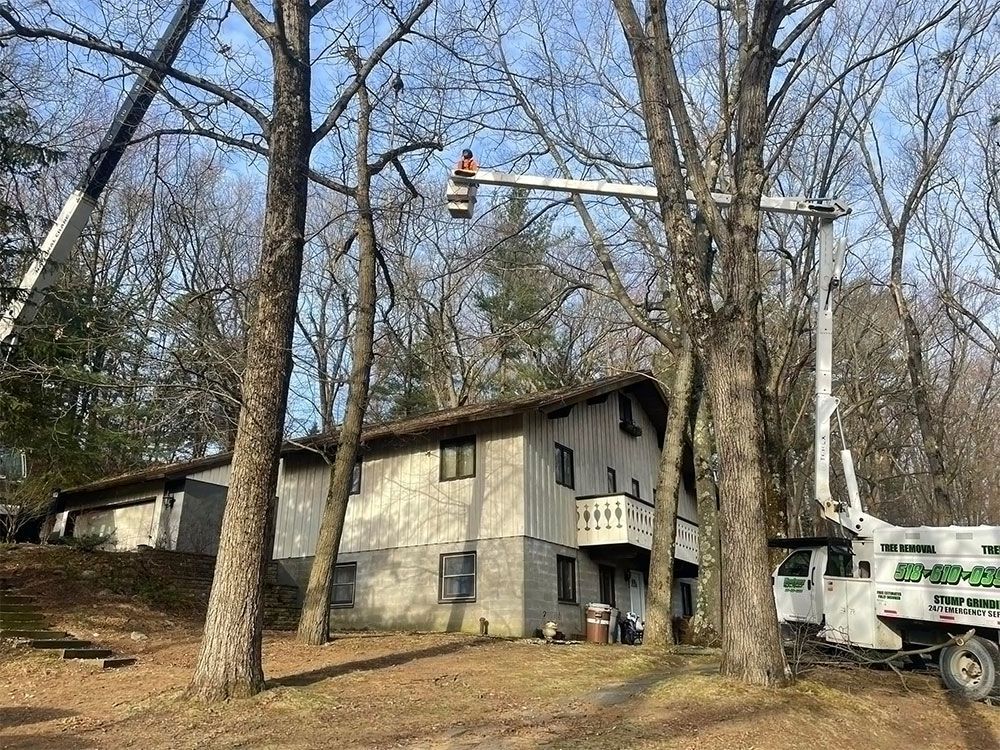 A house is surrounded by trees and a crane is cutting a tree.