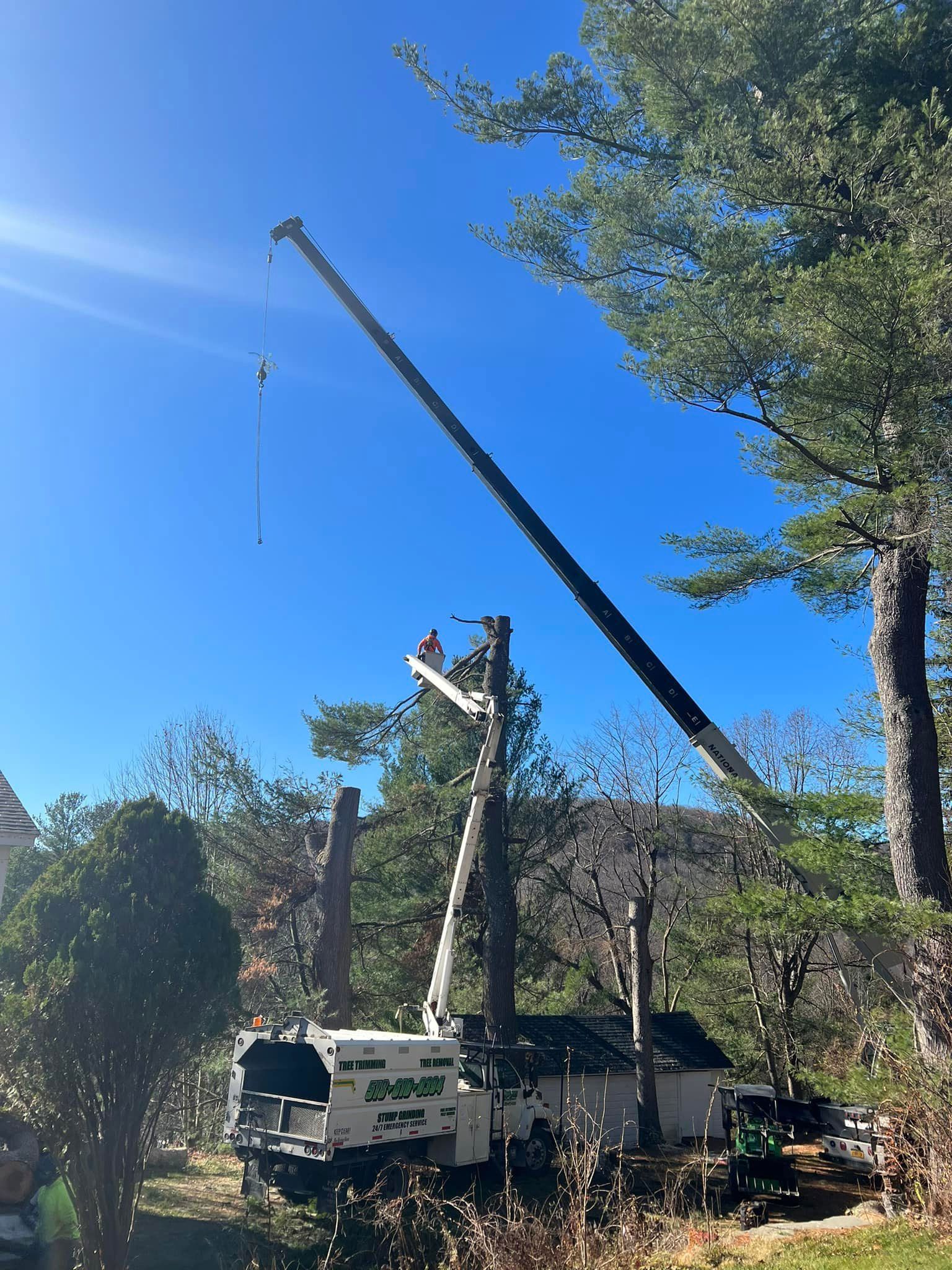 A crane is cutting a tree in front of a house.
