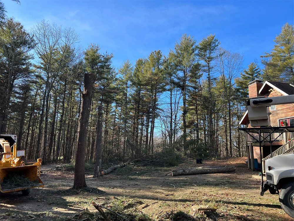 A truck is parked in front of a house in a forest.