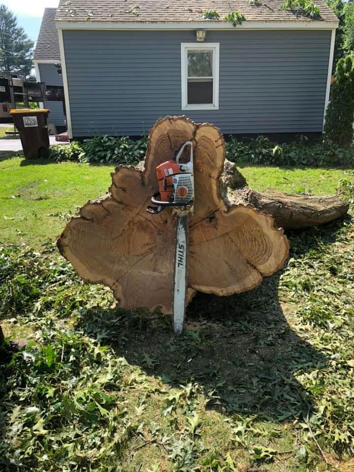 A chainsaw is sitting on top of a large tree stump in front of a house.
