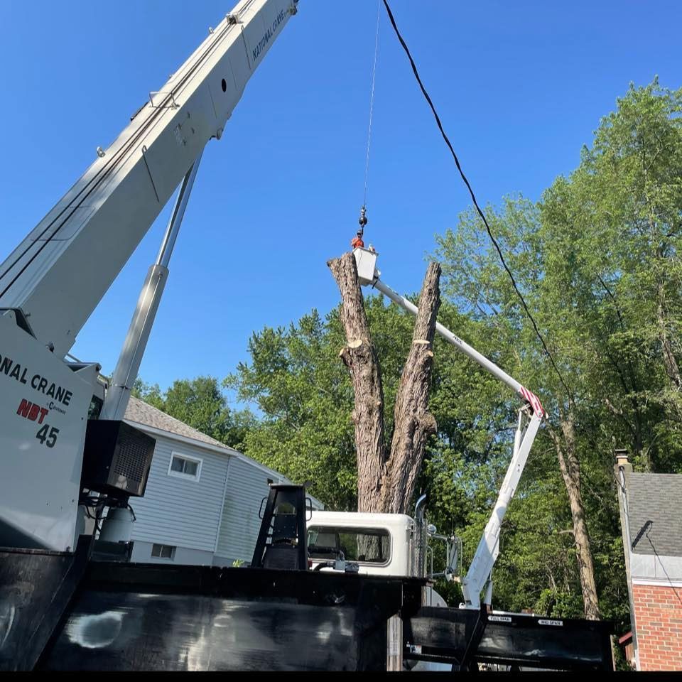 A crane is lifting a tree in front of a house