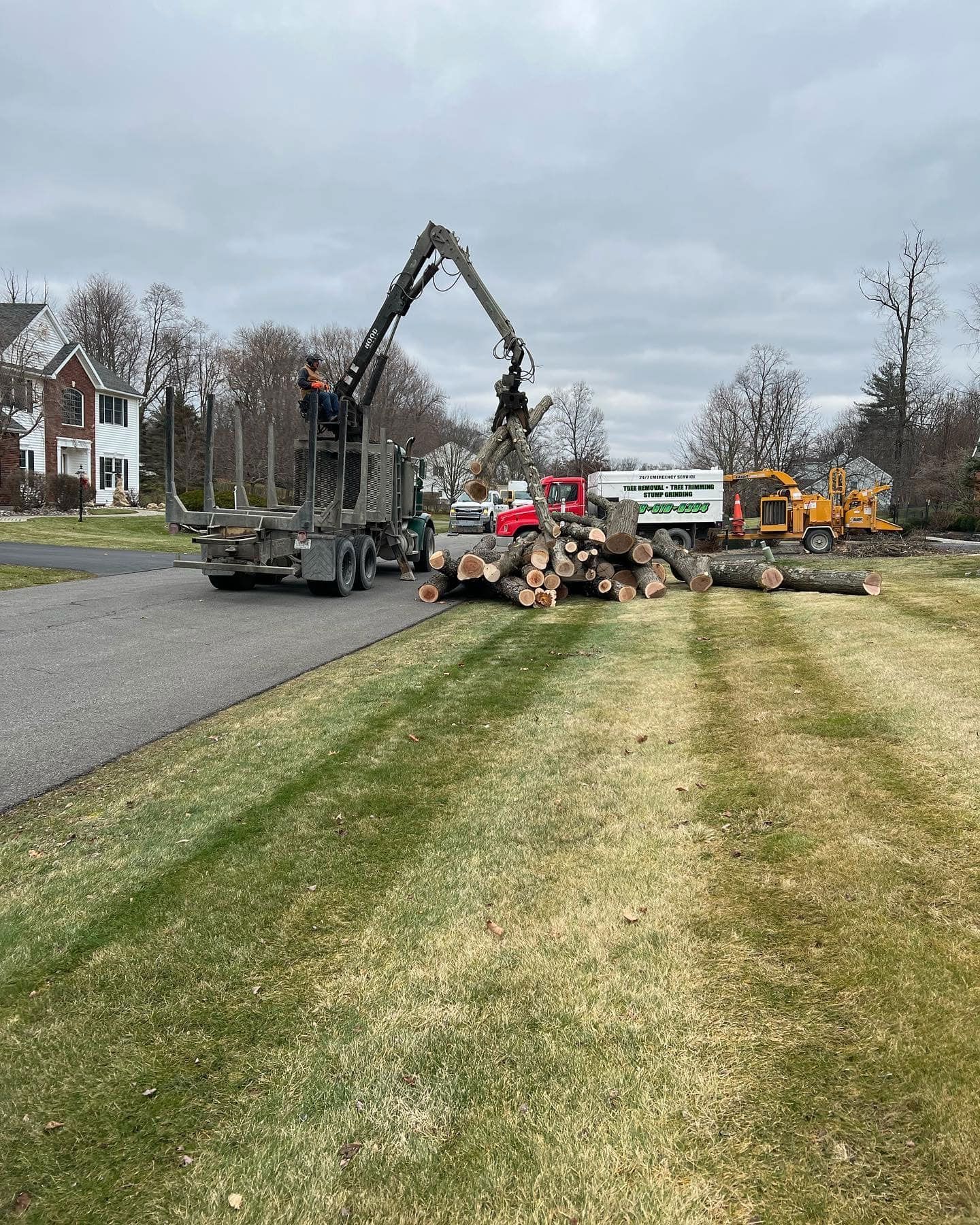 A large pile of logs is being loaded onto a truck.