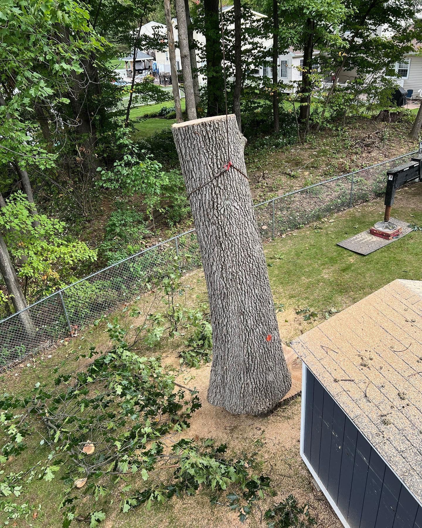 A large tree stump is sitting in the middle of a yard next to a fence.
