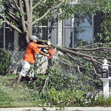 A man is cutting a tree with a chainsaw in front of a house.