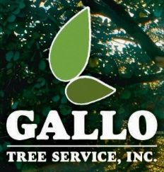 Gallo Tree Service, Inc. - Logo