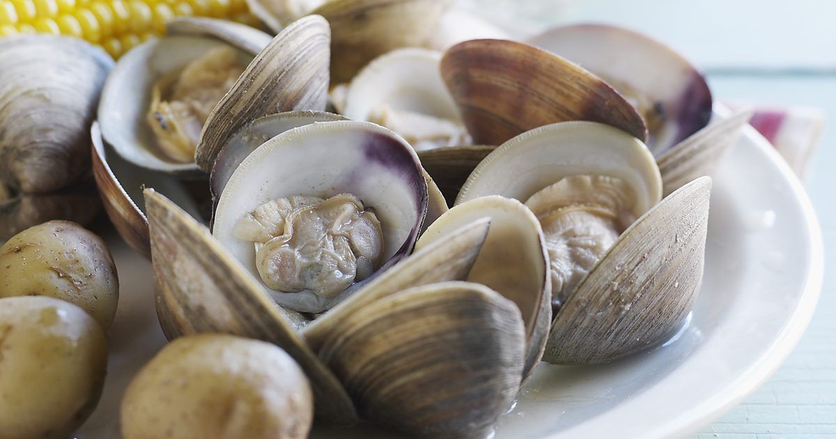 clams