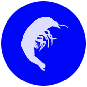 shrimp Icon