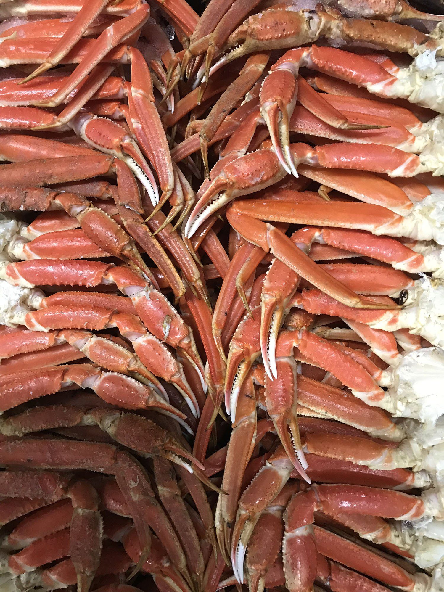 Snow Crab