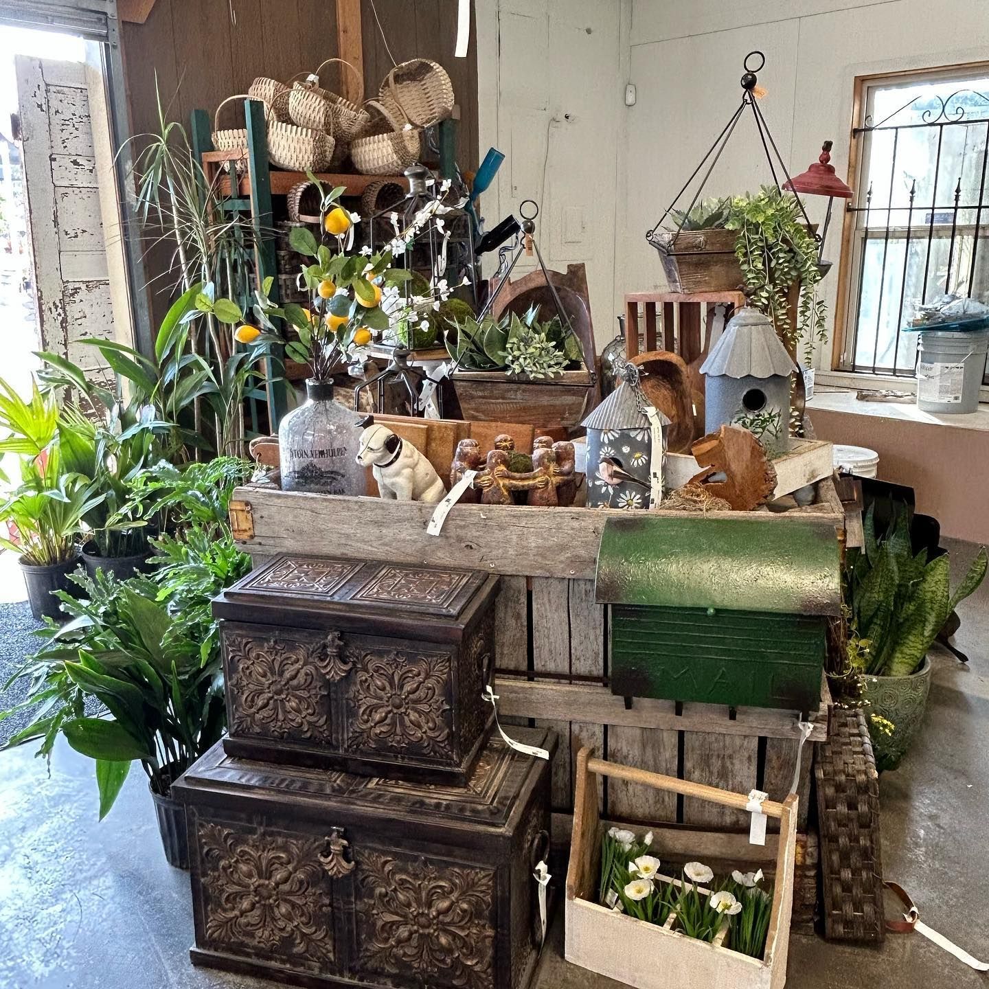 Plants Green Valley Nursery & Landscaping Florence, AL